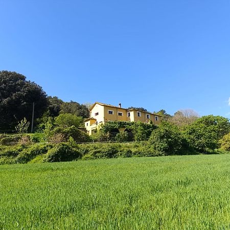 Mas Pitre Bed & Breakfast Besalu Ngoại thất bức ảnh